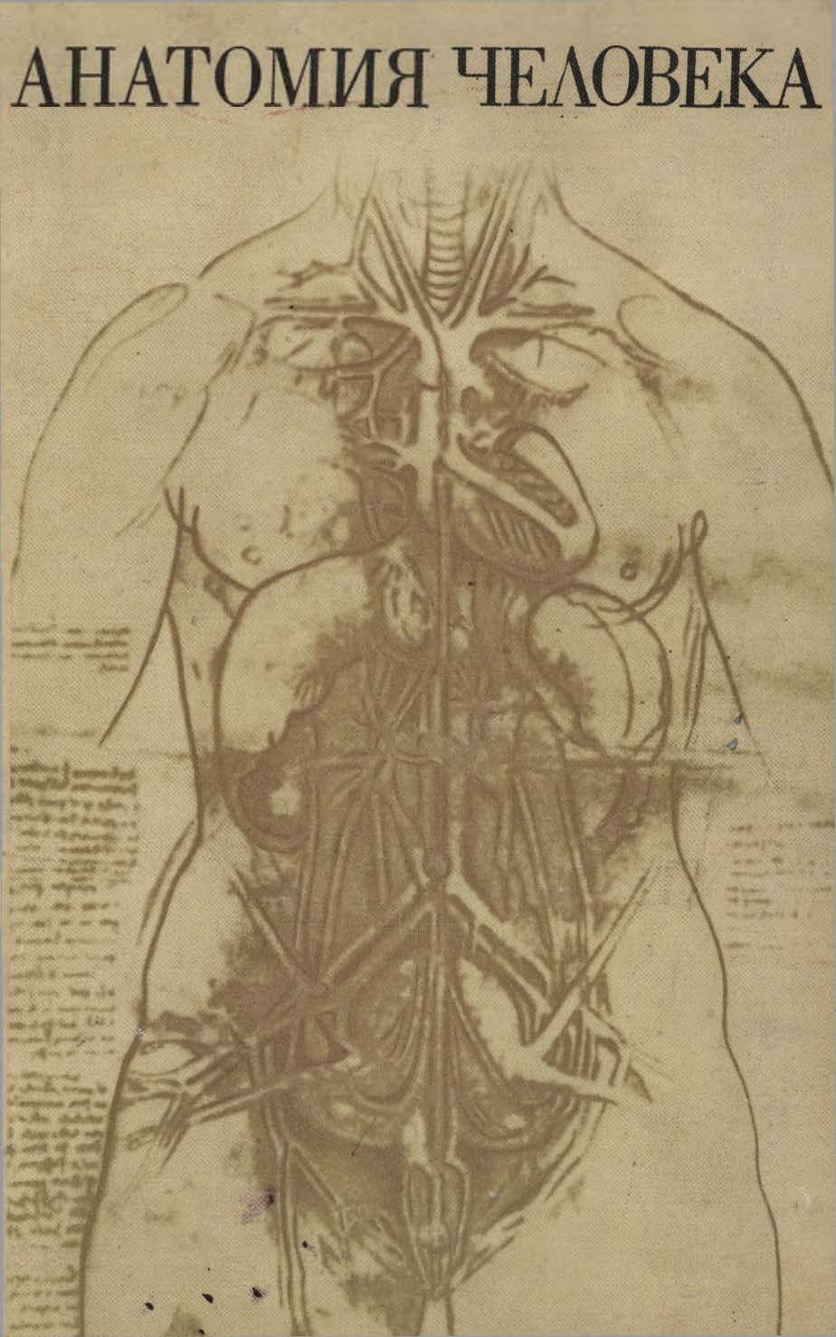 Анатомия человека пособия